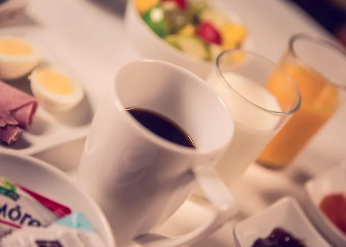 ティムホテル ガール ド リヨン 3*